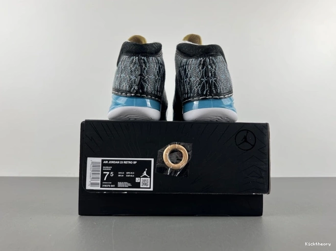 Kick Theory 23 Jordan UNC 318376-041 0812